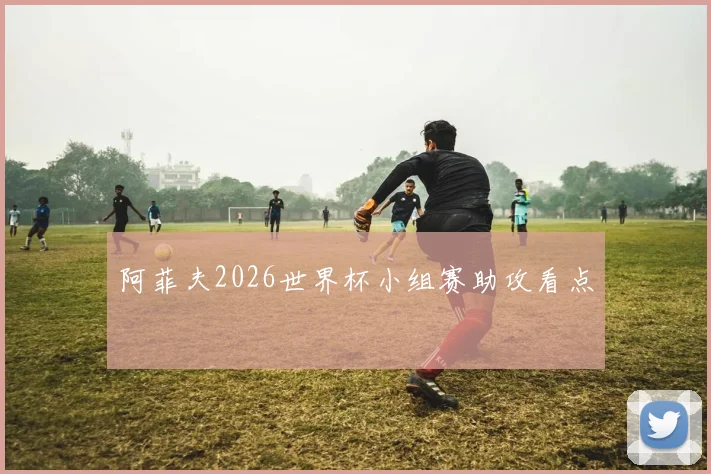 阿菲夫2026世界杯小组赛助攻看点