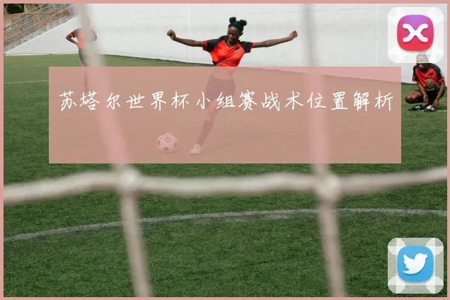 苏塔尔世界杯小组赛战术位置解析