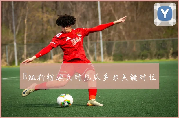 E组科特迪瓦对厄瓜多尔关键对位