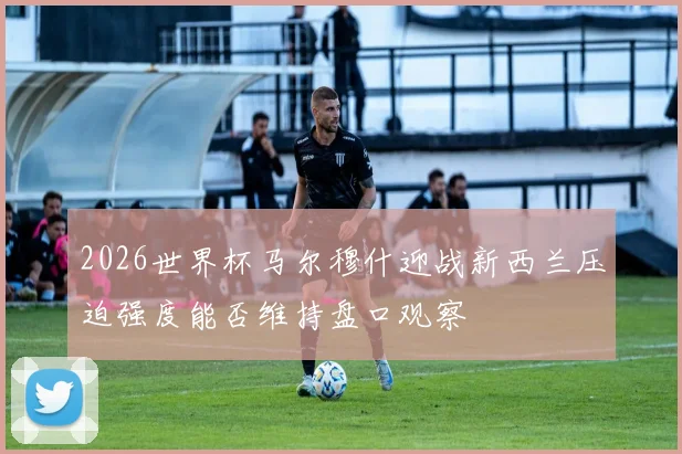 2026世界杯马尔穆什迎战新西兰压迫强度能否维持盘口观察