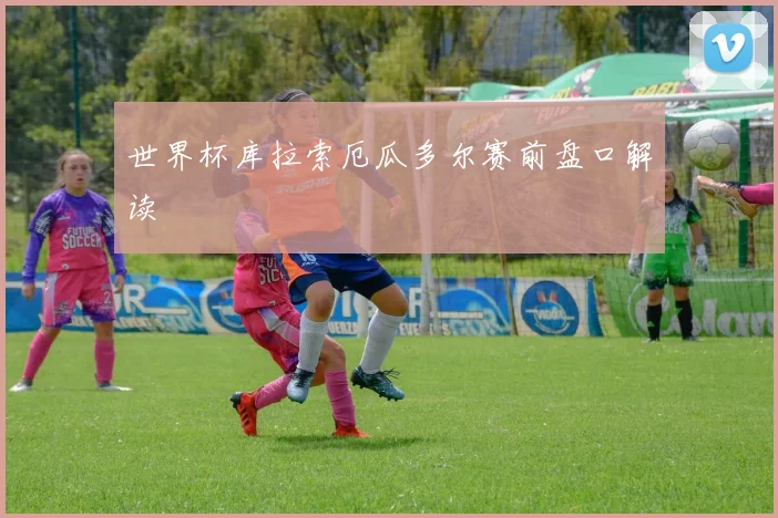世界杯库拉索厄瓜多尔赛前盘口解读